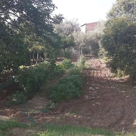 Tenuta Staropoli * San Costantino