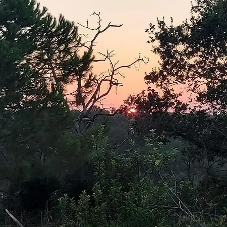 Tenuta Staropoli * San Costantino
